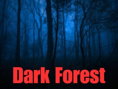 Dark Forest